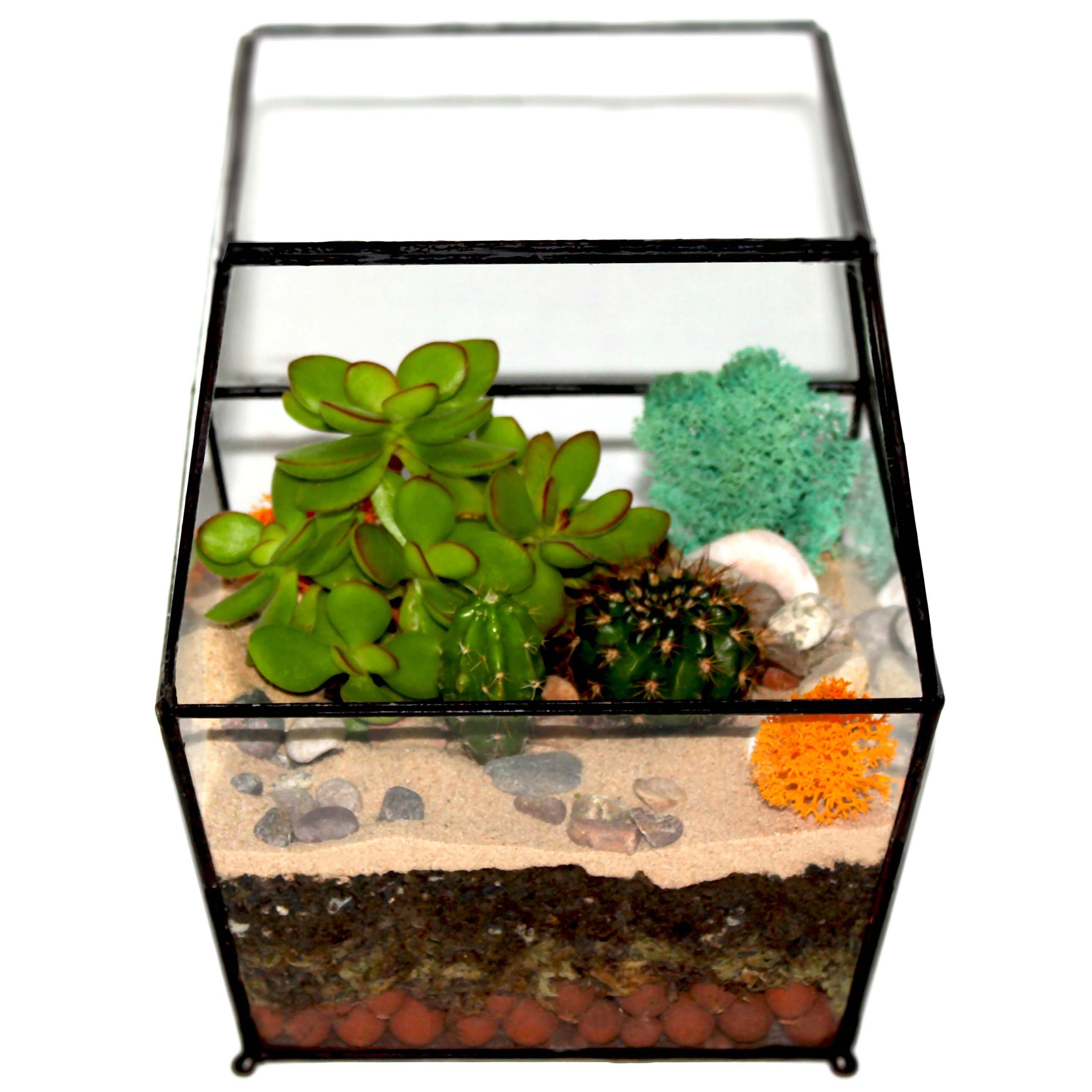 MEDIUM ENCLOSED TERRARIUM Black / Sliding Door / Glass Planter Etsy