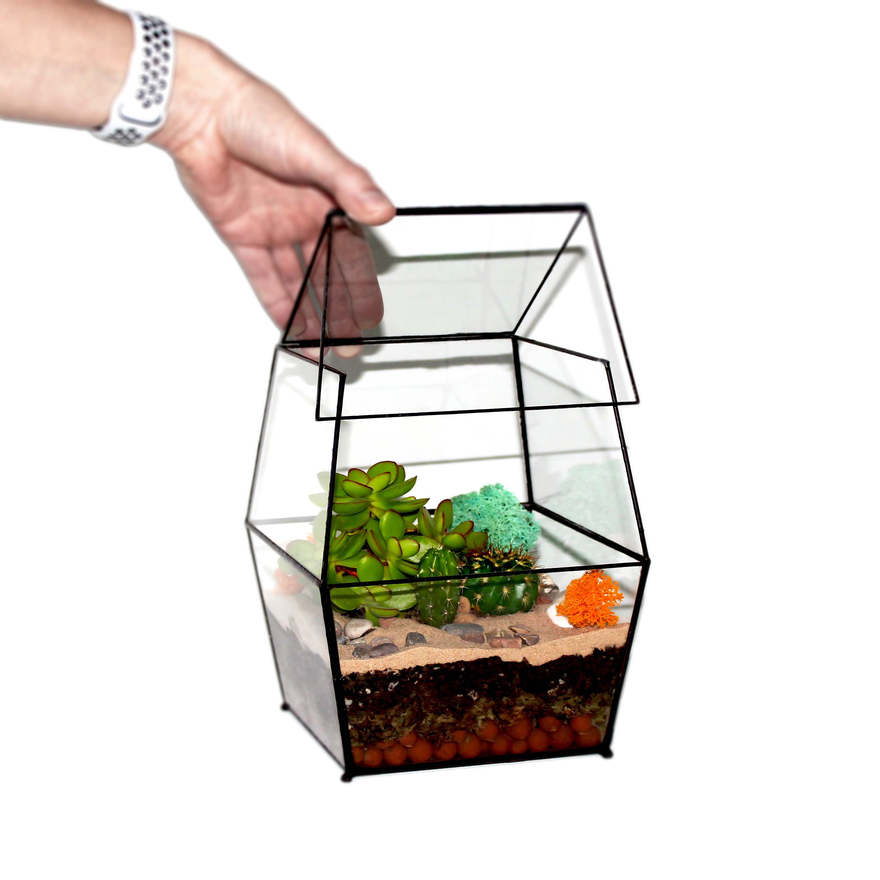 MEDIUM ENCLOSED TERRARIUM Black / Sliding Door / Glass Planter Etsy