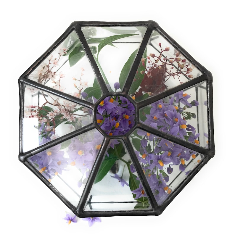 Octagon Tall Geometric Glass Terrarium / Handmade Planter / Etsy