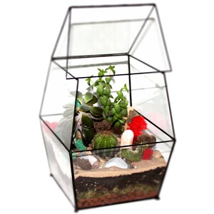 Large Enclosed Terrarium / Sliding Door / Glass Planter with Lid / Geometric Plant Pot / Home Decor / Indoor Gardening / Urban Garden / Sale image 3