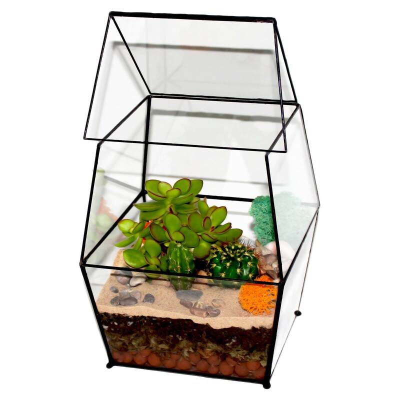 MEDIUM ENCLOSED TERRARIUM Black / Sliding Door / Glass Planter Etsy