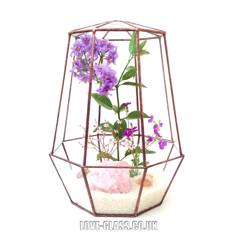 Octagon Tall Geometric Glass Terrarium / Handmade Planter / Etsy