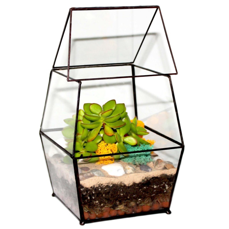 Smal 1 Litre Terrarium Kit UK DIY Succulent & Cacti Plant Step Etsy