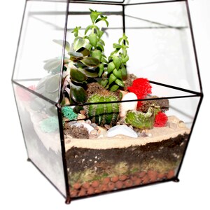 Large Enclosed Terrarium / Sliding Door / Glass Planter with Lid / Geometric Plant Pot / Home Decor / Indoor Gardening / Urban Garden / Sale image 4