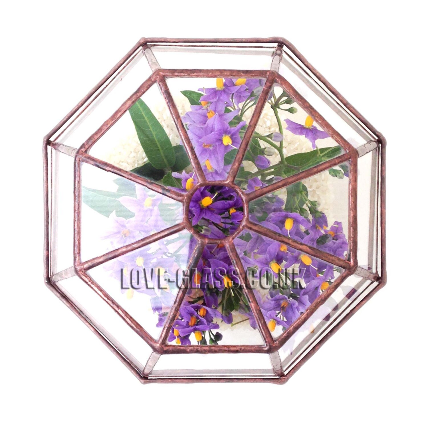 Octagon Geometric Glass Terrarium / Handmade Planter / Indoor Gardening