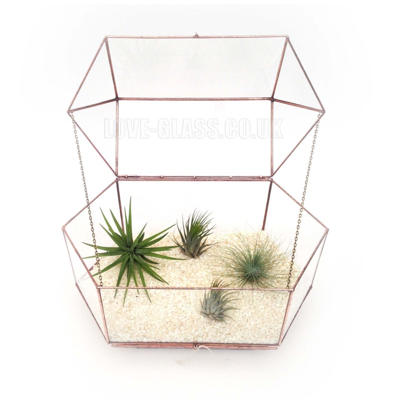 Wedding Envelope Holder Box / Large Terrarium Box / Wedding Etsy UK