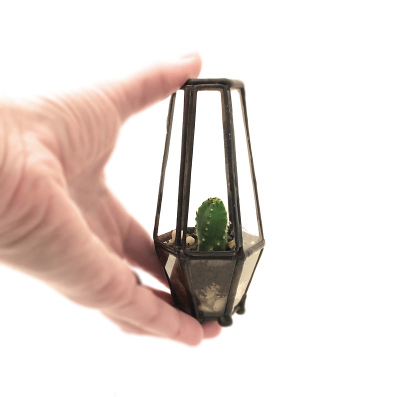 Pre-Assembled Cacti Terrarium Enclosed Landscape Desktop Garden Cute Cacti Terrarium Kit