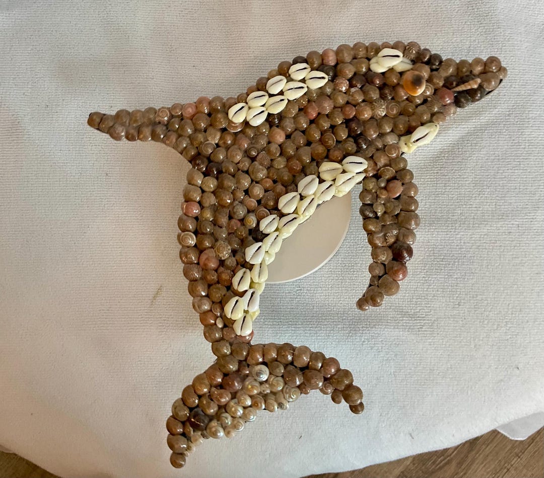 Dolphin Using Conch Shell Dolphin Wall Plaque With Umbonium Shells and Cowries, Shell Art on Wood ...