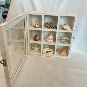 White distressed wooden shadowbox with dividers and seashells, coastal display decor shabby chic divided box with beachy seashells.