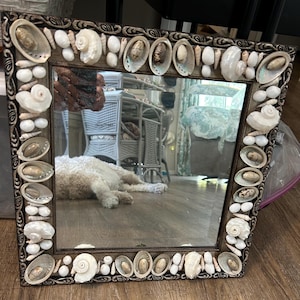 Seashell Embellished Coastal Mirror: Beach House Decor, Gold Accent