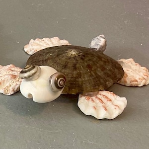 Set of 4 turtle ocean animal figurines, handmade beach decor, gifts, coastal craft,beach animal craft figurines, handmaid sea animals