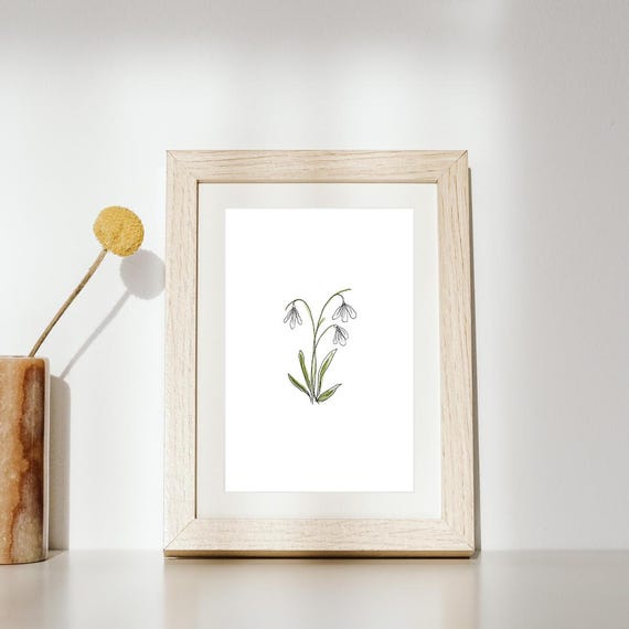January Birth Month Flower Print | Snowdrop Art | Minimalist Botanical Wall Art on Italian Paper