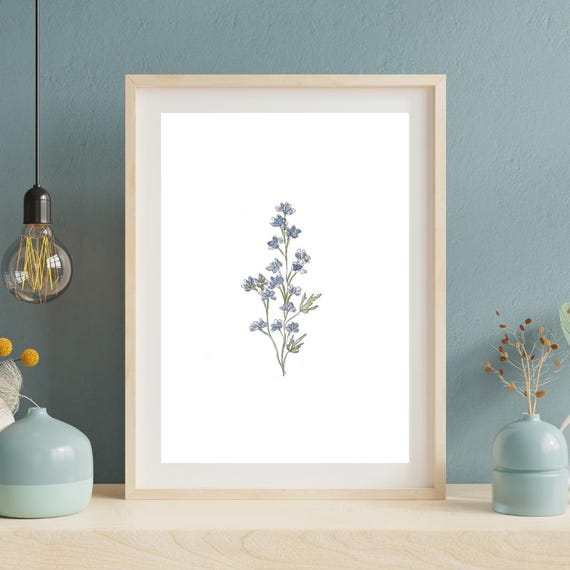 July Birth Month Flower Print | Larkspur Art | Minimalist Botanical Wall Art on Italian Paper