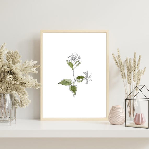 June Birth Month Flower Print | Honeysuckle Art | Minimalist Botanical Wall Art on Italian Paper