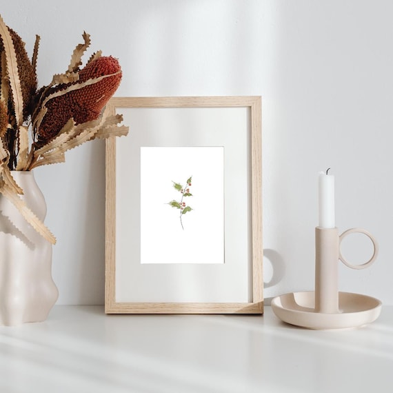 December Birth Month Flower Print | Holly Art | Minimalist Botanical Wall Art on Italian Paper