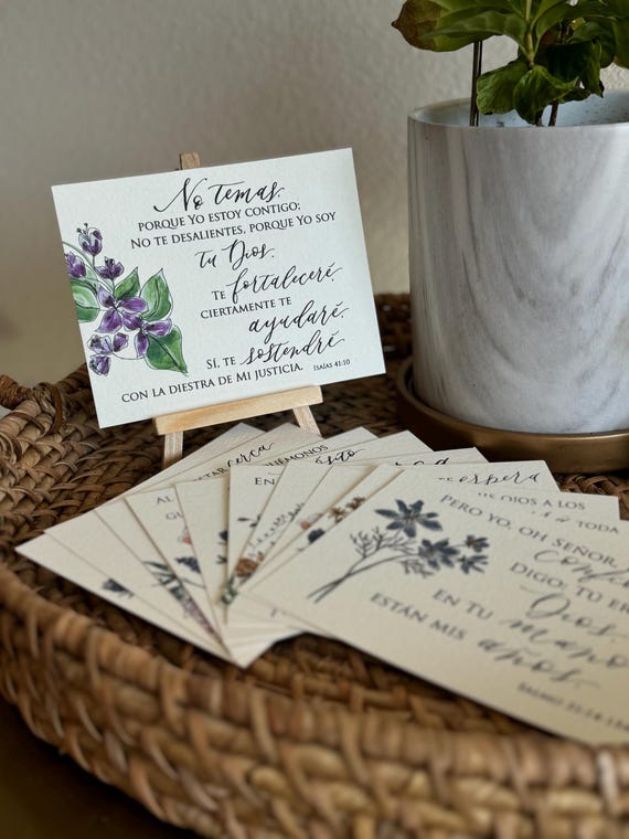 Spanish Bible Verse Memory Cards • Calligraphy, Watercolor Florals, NBLA, Hope in Christ