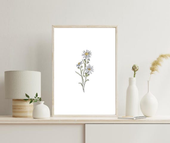September Birth Month Flower Print | Aster Art | Minimalist Botanical Wall Art on Italian Paper