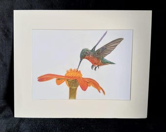 May include: A green and brown hummingbird with a long beak hovers over an orange flower with a yellow center. The hummingbird is in mid-flight, with its wings spread out. The flower is in focus, and the hummingbird is slightly out of focus.