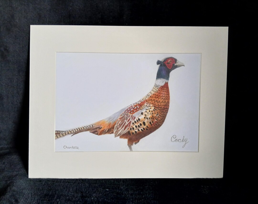 Pheasants Print