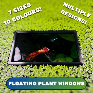 RECTANGLE Aquarium Floating Plant Window, Fish Feeding Ring, Aquarium Fish Tank Decoration, Duckweed Ring, Aquarium Fish Portal, Gift For