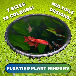 CIRCLE Aquarium Floating Plant Window, Fish Feeding Ring, Aquarium Fish Tank Decoration, Duckweed Ring, Aquarium Fish Portal, Gift For
