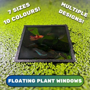 SQUARE Aquarium Floating Plant Window, Fish Feeding Ring, Aquarium Fish Tank Decoration, Duckweed Ring, Aquarium Fish Portal, Gift For