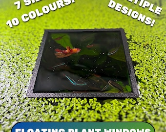 SQUARE Floating Plant Window: Aquarium Fish Feeding Ring