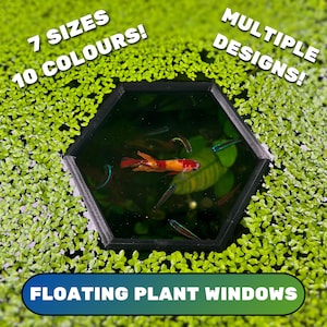 HEXAGON Aquarium Floating Plant Window, Fish Feeding Ring, Aquarium Fish Tank Decoration, Duckweed Ring, Aquarium Fish Portal, Gift For