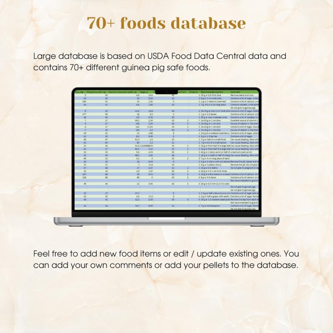 View of Guinea Pig Food Planner and Calculator | Google Sheets Guinea Pig ...