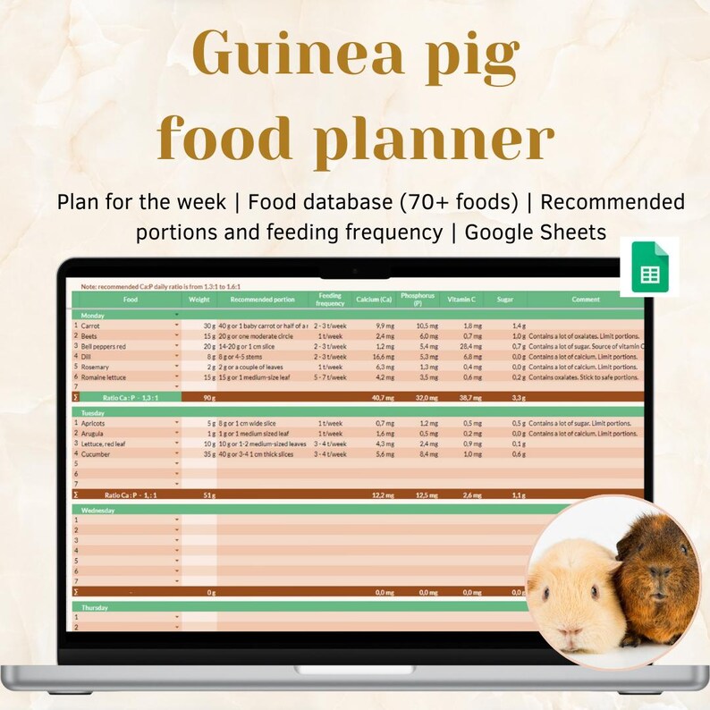 View of Guinea Pig Food Planner and Calculator | Google Sheets Guinea Pig ...