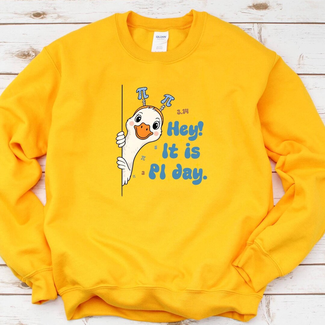 Hey It's Pi Day Funny Goose, Sweatshirt for Pi Day, Happy Pi Day, Goose ...