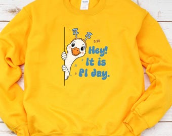 Hey It's Pi Day Funny Goose, Sweatshirt For Pi Day, Happy Pi Day, Goose Pi Day shirt, Math Humor Hoodie,Gift for Math Teacher,Math Lover Tee