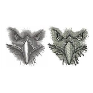 May include: A close-up of an eagle's face, with a detailed, embroidered look on the right side and a more sketched look on the left side. The eagle has sharp, piercing eyes and a strong beak.