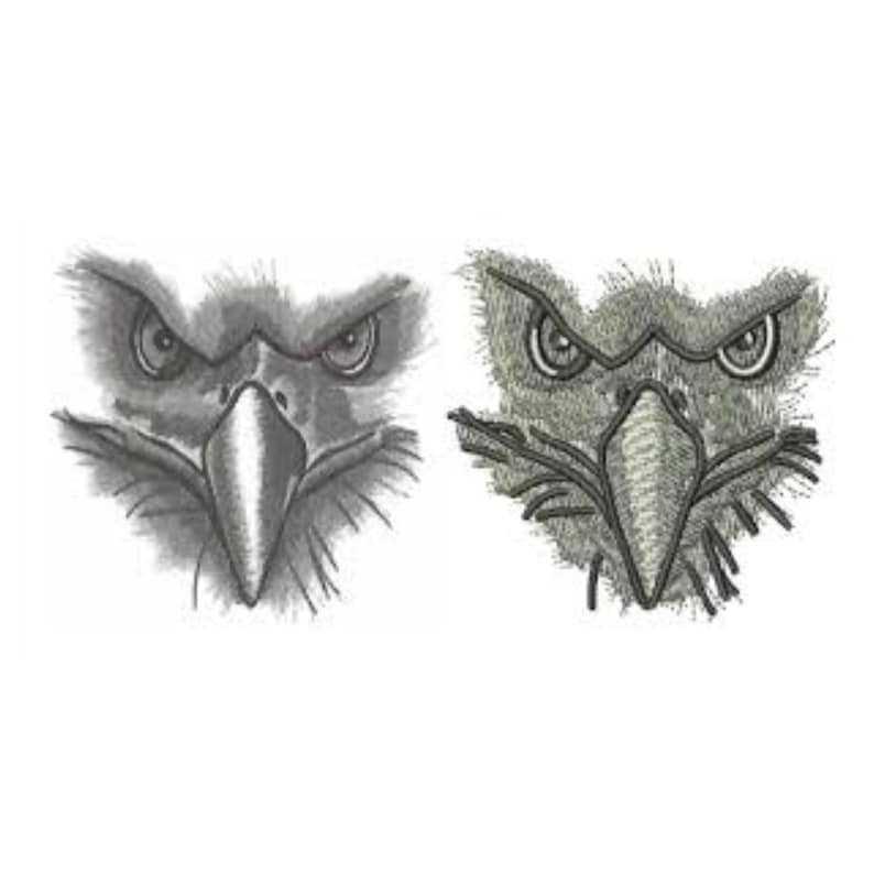 May include: A close-up of an eagle's face, with a detailed, embroidered look on the right side and a more sketched look on the left side. The eagle has sharp, piercing eyes and a strong beak.
