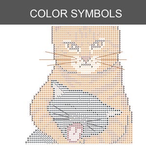 Puede incluir: Un patr&oacute;n de punto de cruz titulado COLOR SYMBOLS que presenta un dise&ntilde;o en cuadr&iacute;cula de un gato. La imagen utiliza varios s&iacute;mbolos tipogr&aacute;ficos e iconos para representar diferentes colores de hilo, formando la cabeza de un felino.