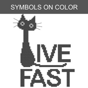 Black Cat-kruissteekpatroon, Live Fast Eat Trash, instant digitale download afbeelding 4