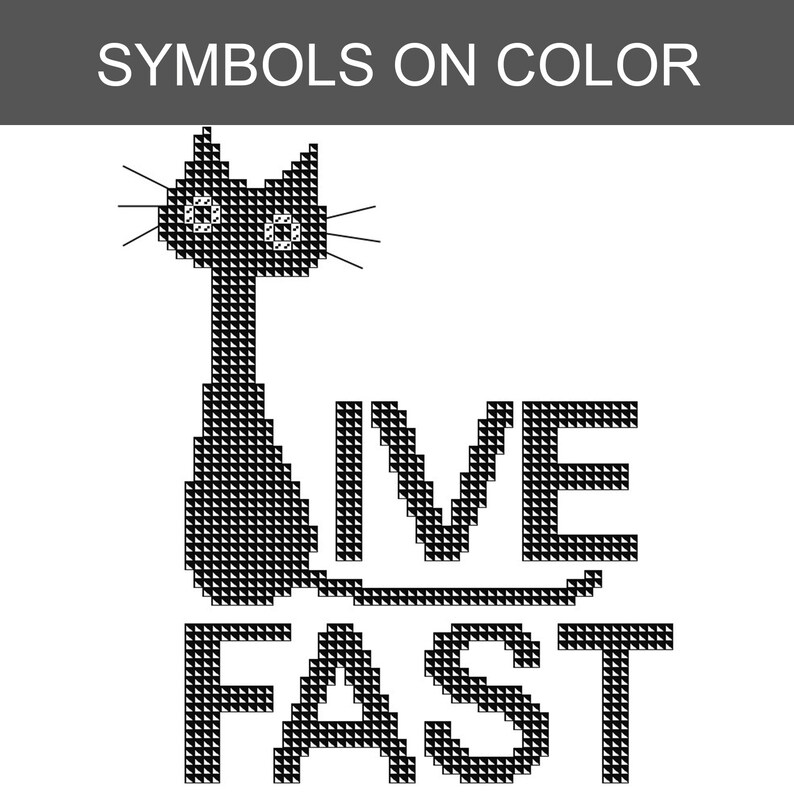 Black Cat-kruissteekpatroon, Live Fast Eat Trash, instant digitale download afbeelding 4
