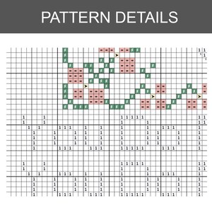 May include: A cross-stitch pattern chart labelled PATTERN DETAILS featuring a grid with black lines. The upper section displays a floral motif with pink squares and green diagonal stitches. The lower section contains numerical symbols in a grid.
