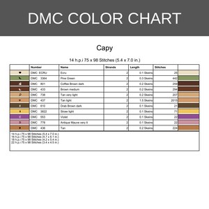May include: A DMC colour chart for a cross-stitch pattern titled Capy. The table lists thread numbers, names, strand counts, skein lengths, and stitch counts for colours including ecru, pine green, brown, tan, violet, and mauve, with dimensions.
