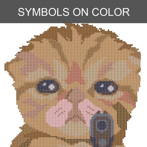 Puede incluir: Un patr&oacute;n de pintura de diamantes que muestra un gato marr&oacute;n sosteniendo una pistola gris, con el texto SYMBOLS ON COLOR en la parte superior. La imagen se compone de una cuadr&iacute;cula de letras y n&uacute;meros que representan c&oacute;digos de color.