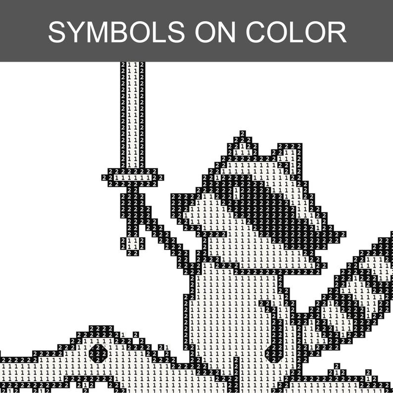May include: A black and white diamond painting pattern featuring a raccoon holding a sword. The design is composed of a grid filled with the numbers 1 and 2, indicating color placement. The text SYMBOLS ON COLOR is printed at the top.