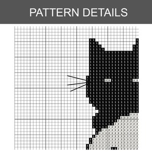 May include: A cross-stitch pattern detail with the text "PATTERN DETAILS" at the top. The pattern features a black and white design, with numbers and symbols indicating stitch placement. The grid-like background provides a guide for the cross-stitch project.