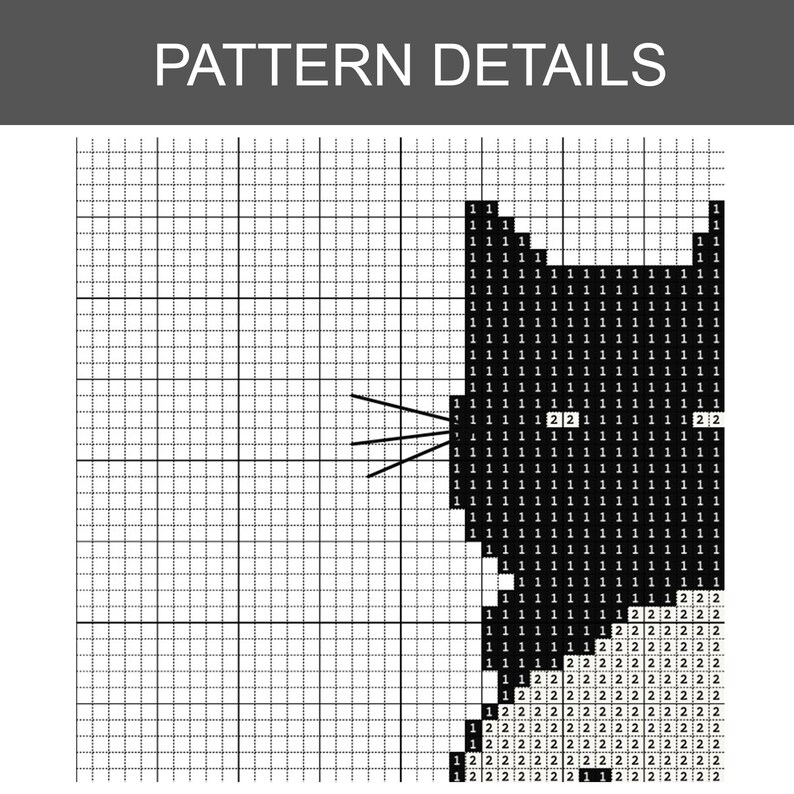 May include: A cross-stitch pattern detail with the text "PATTERN DETAILS" at the top. The pattern features a black and white design, with numbers and symbols indicating stitch placement. The grid-like background provides a guide for the cross-stitch project.