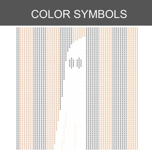 May include: A colour symbols chart featuring a grid of repeating numbers 1 and 2 in orange and black, organised into vertical stripes. The text COLOR SYMBOLS is printed in white on a dark grey header bar at the top of the rectangular design.