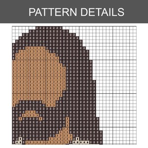 May include: A cross-stitch pattern chart with the words "PATTERN DETAILS" at the top. The chart uses numbers to indicate different colors, forming a design with a dark shape and a lighter shape.