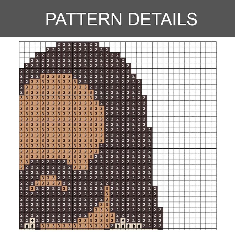 May include: A cross-stitch pattern chart with the words "PATTERN DETAILS" at the top. The chart uses numbers to indicate different colors, forming a design with a dark shape and a lighter shape.