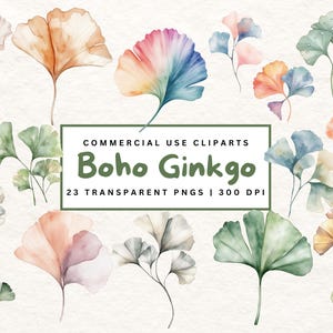 Folhas De Ginkgo Clipart Aquarela Botânica Ginkgo Biloba PNG Pacote Folha Vetor Contorno Floral Botânico PNG Aquarela Folhas De Ginkgo