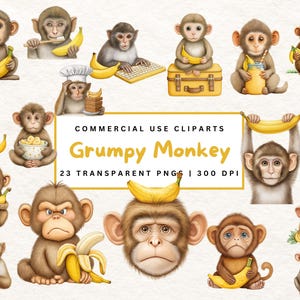 Grumpy Monkey Clipart Cute Monkey Clipart Funny Monkey Clipart Jungle Animal PNG Bundle Commercial Use Quirky Animal Clipart Jungle Digital