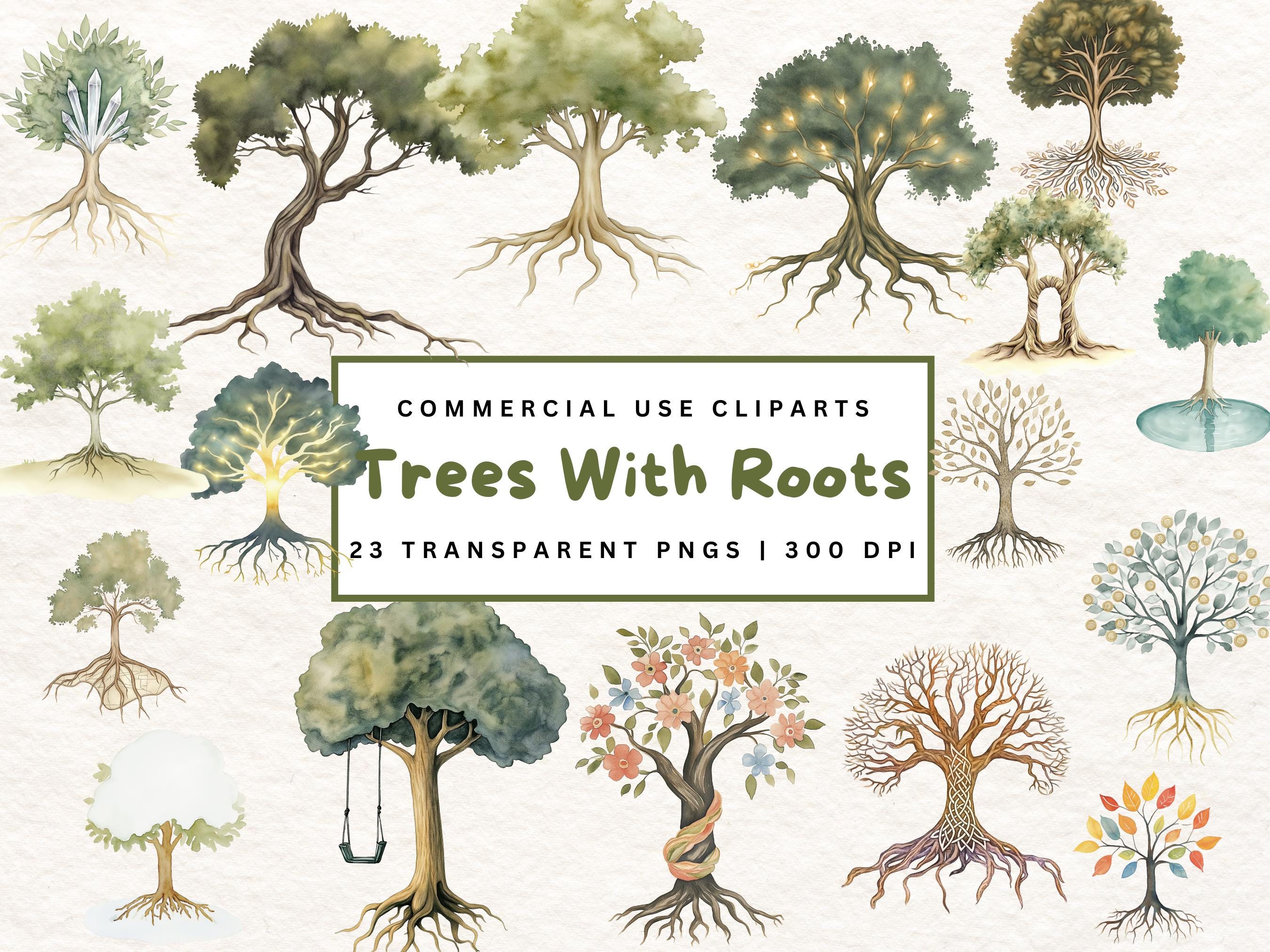 Evolution of Vocal Sacs in Anura, image size:2700x2025