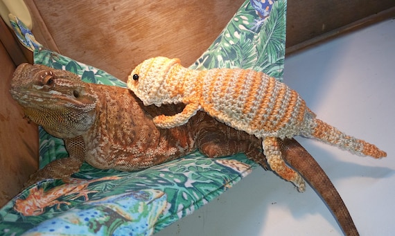 bearded dragon plush toy